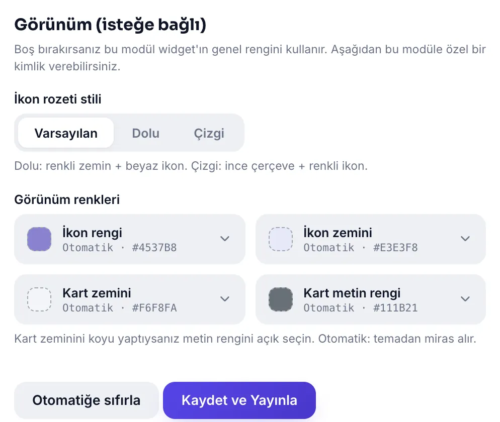 Görünüm bölümü: ikon rozeti stili ve dört renk seçici