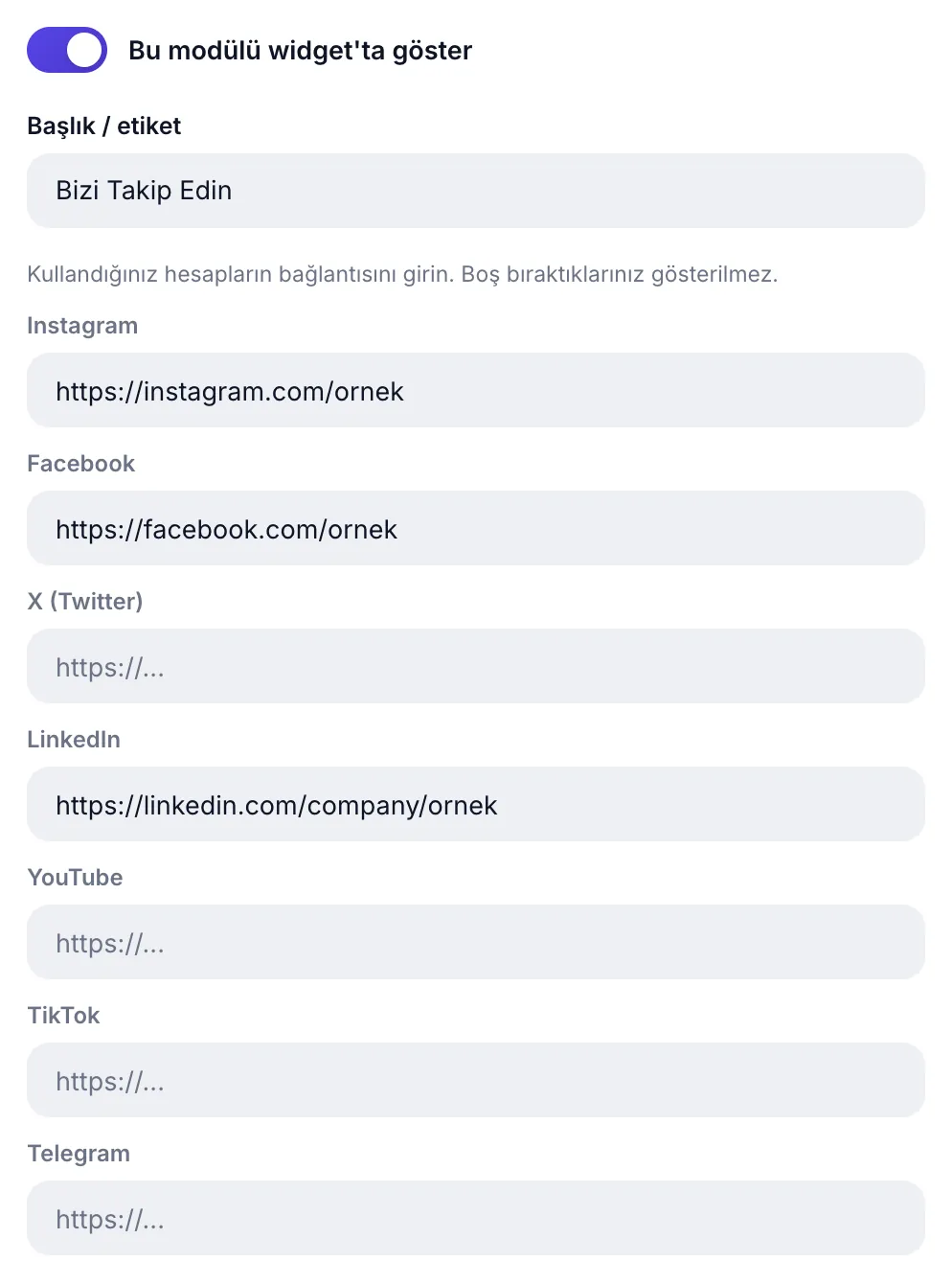 Sosyal medya modülü: yedi ağ için bağlantı alanları